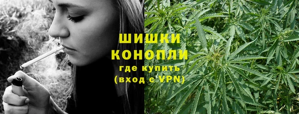 крисы Абдулино