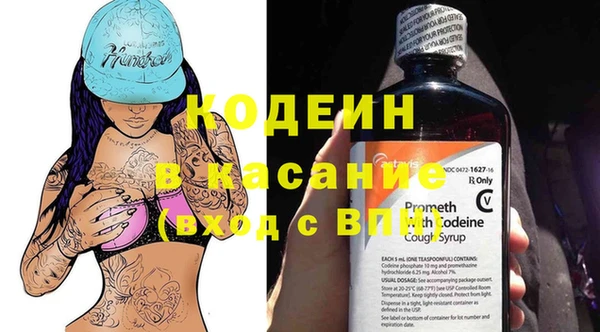 индика Каменск-Шахтинский